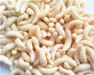 maggot Grub Soft Lure Baits Fishing Lures
