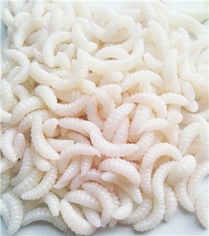 maggot Grub Soft Lure Baits Fishing Lures